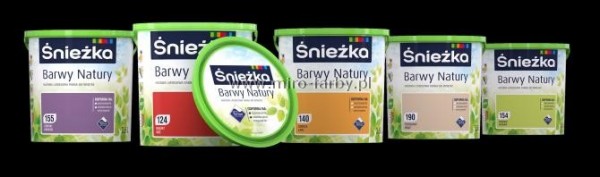 Barwy Natury T-Mglisty świt 2,5L *123* W
